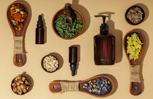 Harnessing Nature's Power: The Benefits of Herbal Products for Holistic Wellness
